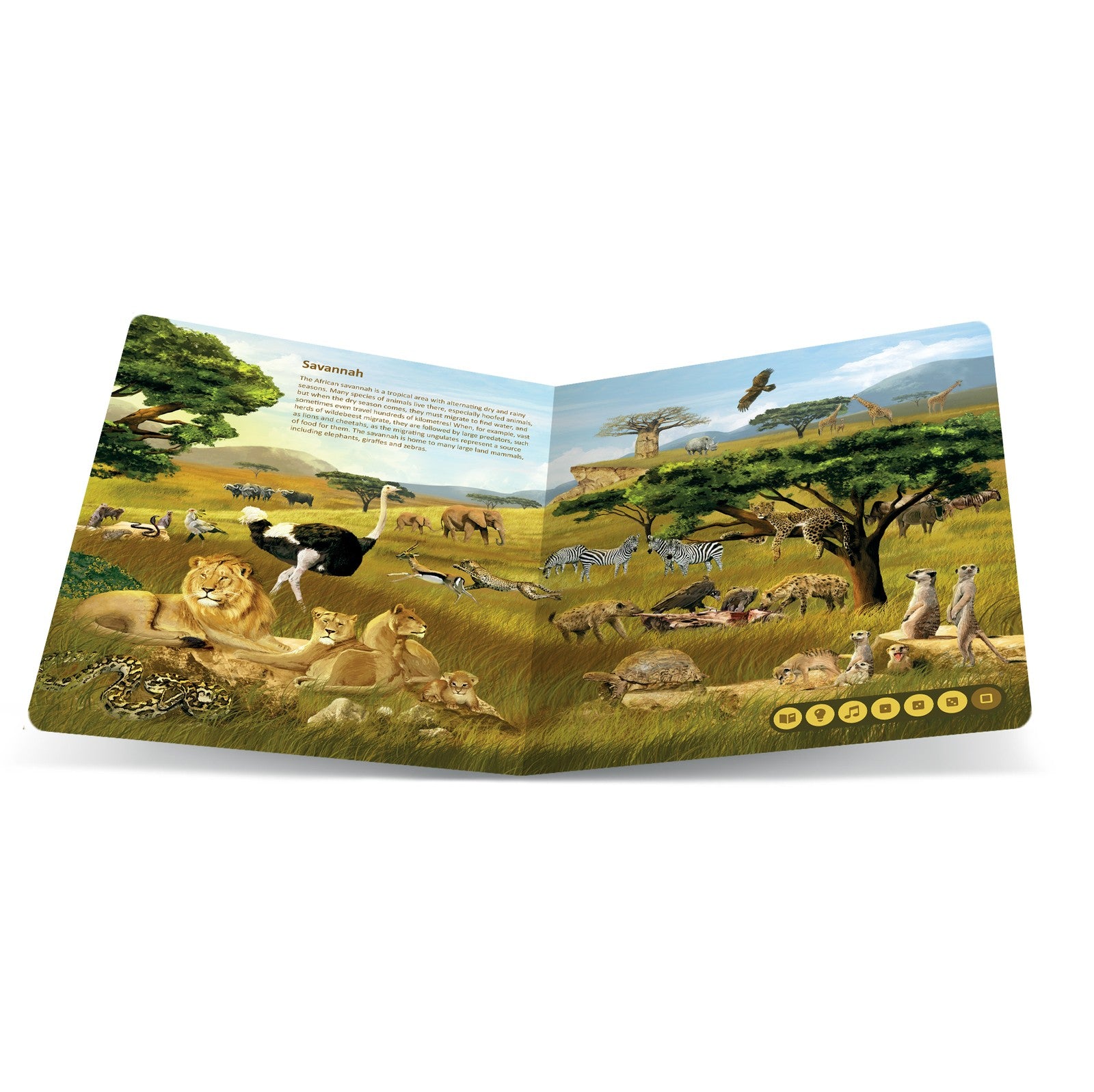 Animal kingdoms bog