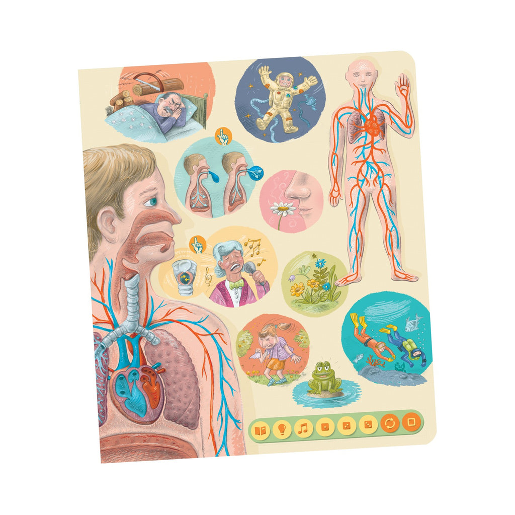 Human body bog