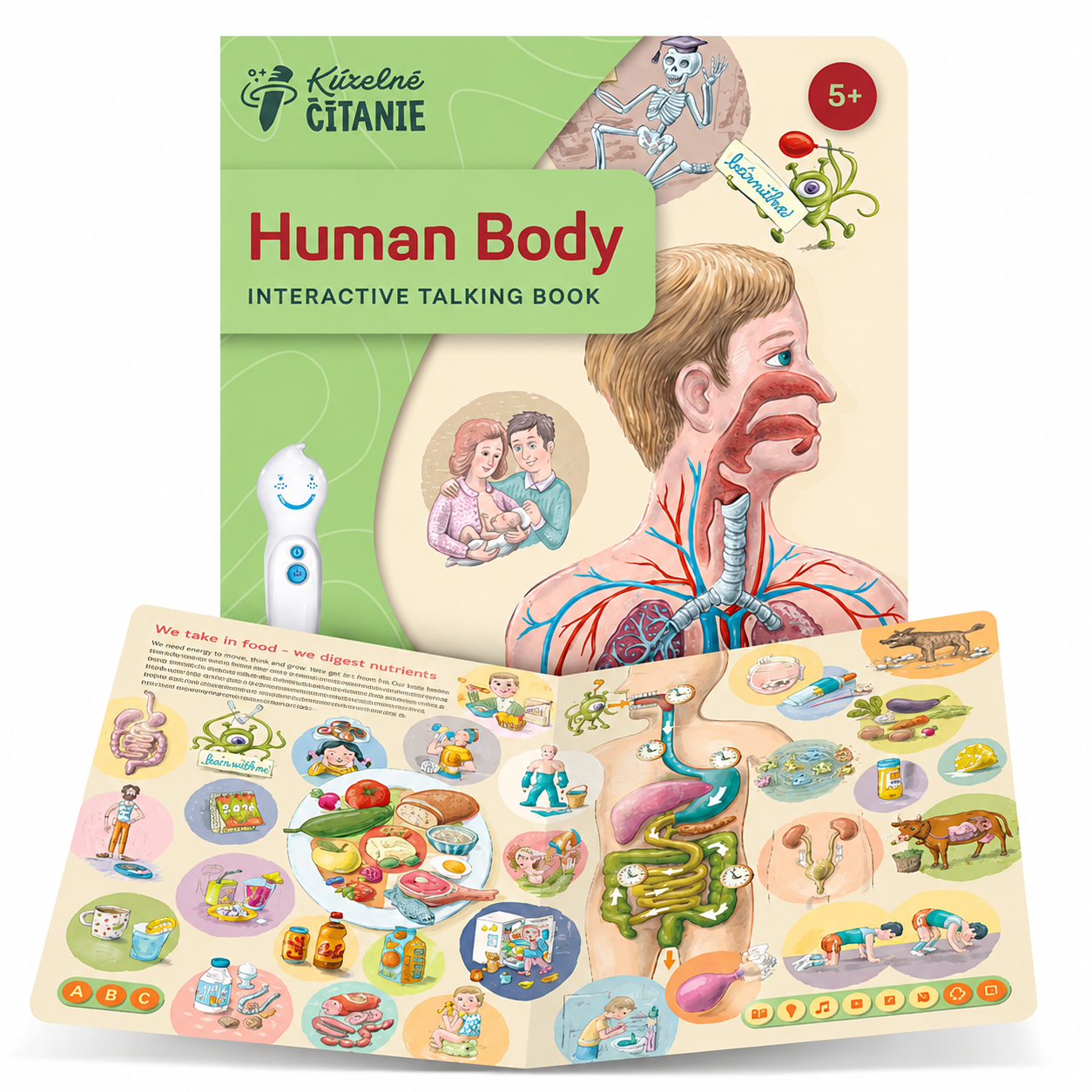 Human body bog